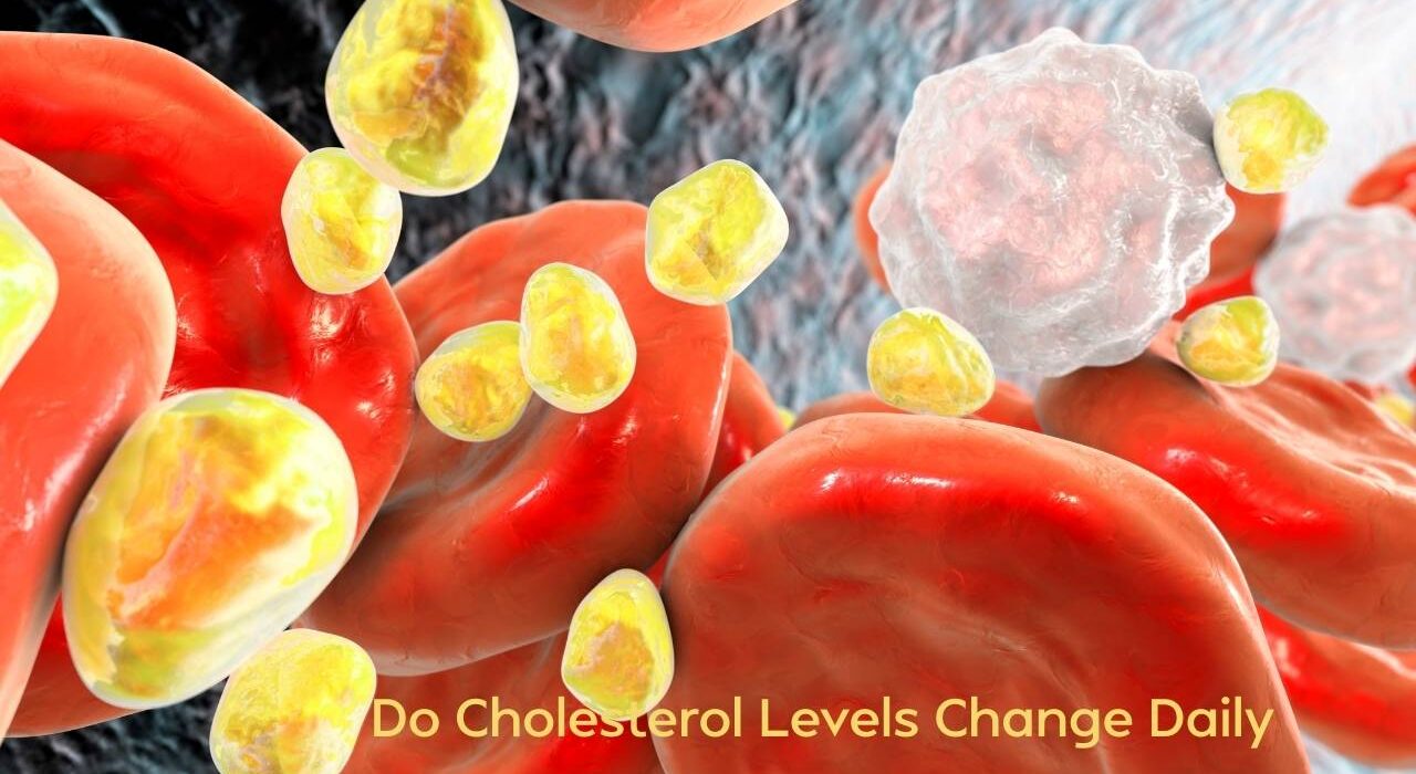 Do Cholesterol Levels Change Daily