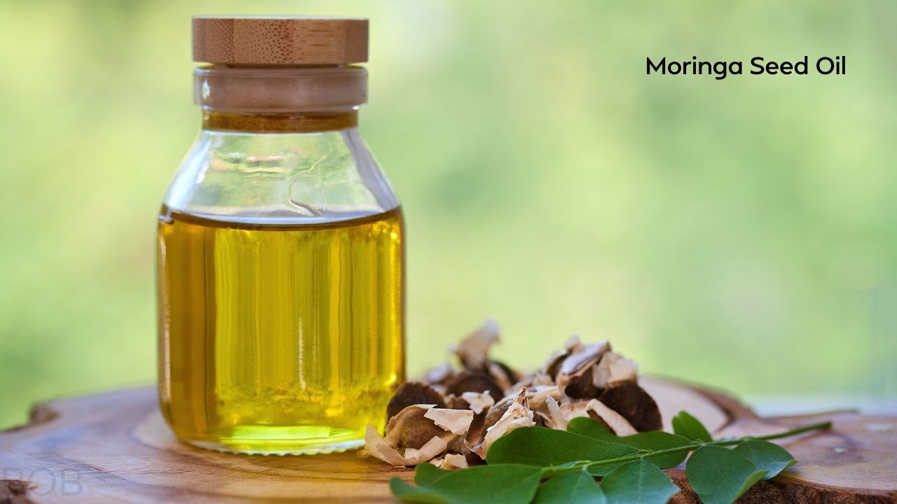 Moringa Seed Oil