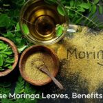 How to Use Moringa Leaves, Benefits and Uses