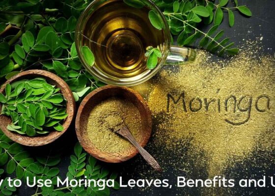 How to Use Moringa Leaves, Benefits and Uses