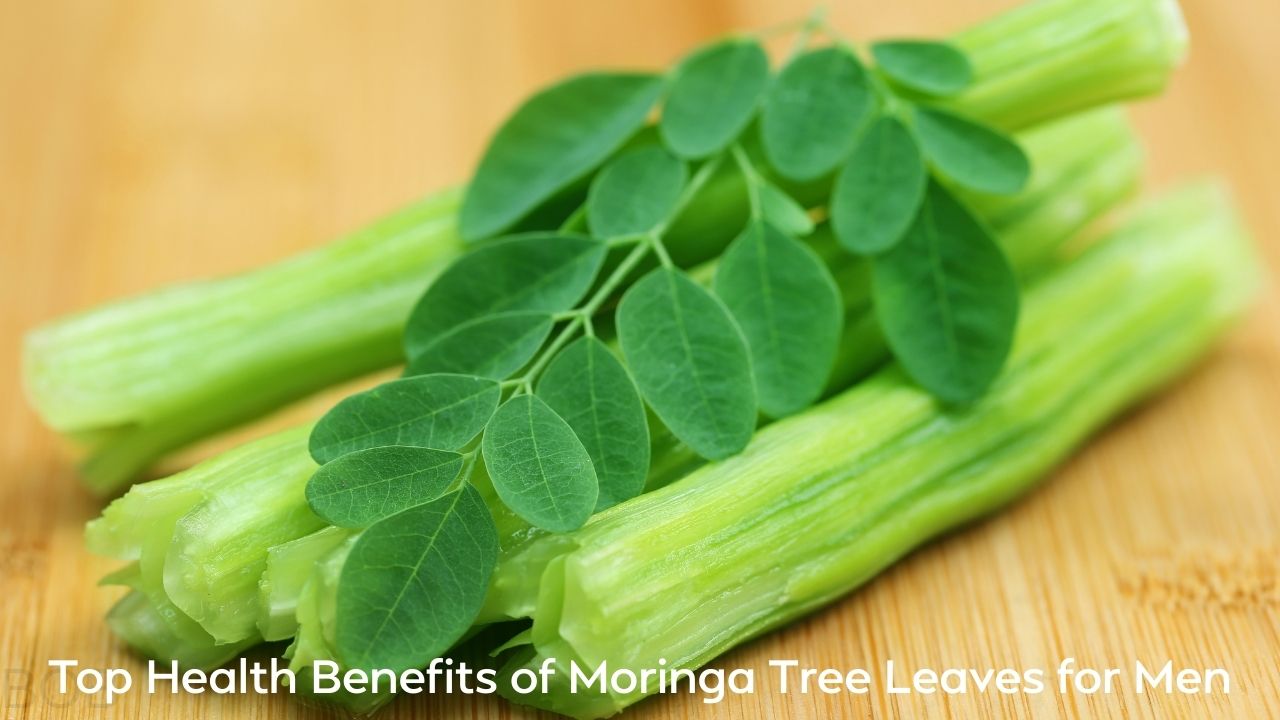 Top Health Benefits of Moringa Tree Leaves for Men